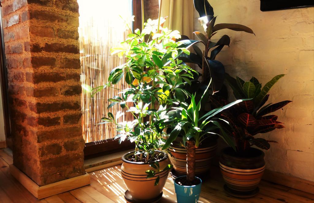 Kunterbunt Istanbul Apartment Ngoại thất bức ảnh